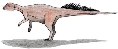 ميكروباتشيسفالوصور